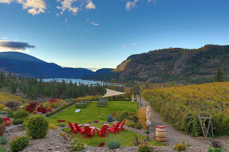 Noble Ridge Vineyards 